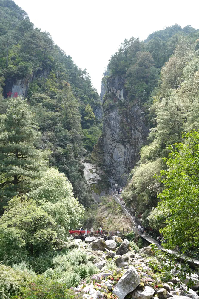 DSC01385.jpg